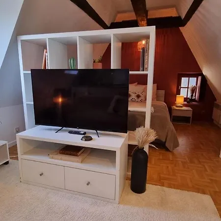 Cosy In Centre Appartement *