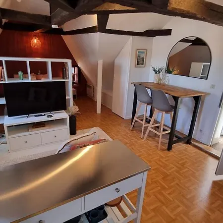 Appartement Cosy In Centre Pau