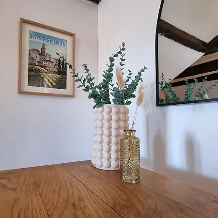 Appartement Cosy In Centre Pau